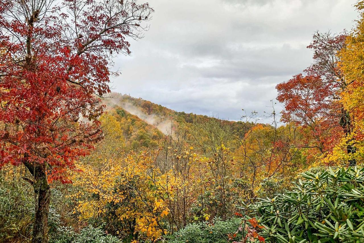 Peaceful Spruce Pine Cabin On 8 Acres With 2 Decks! 外观 照片